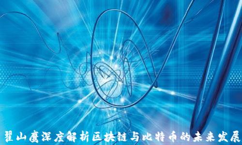 
翟山鹰深度解析区块链与比特币的未来发展