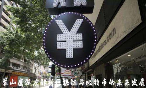 
翟山鹰深度解析区块链与比特币的未来发展