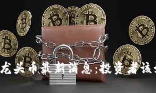 元宇宙区块链龙头币最新消息：投资者该如何把握机会？