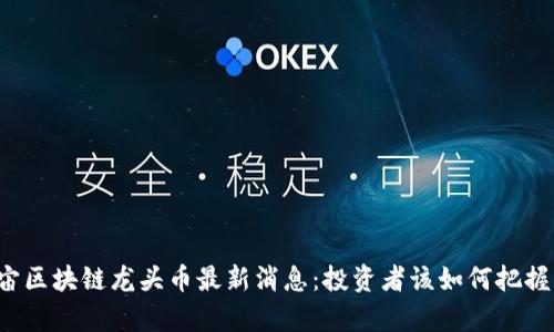 元宇宙区块链龙头币最新消息：投资者该如何把握机会？