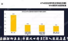 区块链的未来：币圈风口将至？深入分析与展望