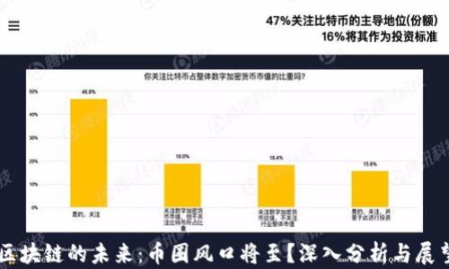 
区块链的未来：币圈风口将至？深入分析与展望