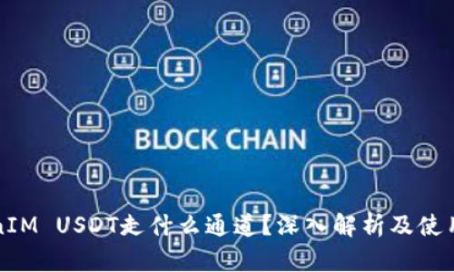 TokenIM USDT走什么通道？深入解析及使用指南