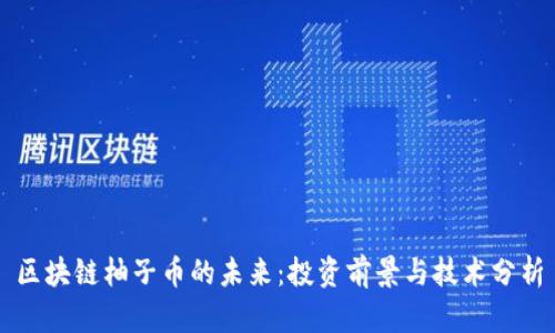 区块链柚子币的未来：投资前景与技术分析