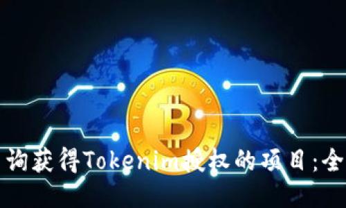 如何查询获得Tokenim授权的项目：全面指南