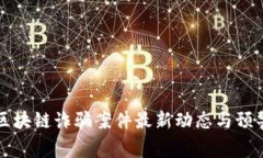 沧州区块链诈骗案件最新动态与预警分析
