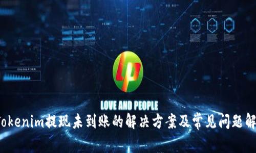  Tokenim提现未到账的解决方案及常见问题解析