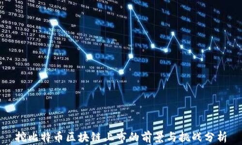 
挖比特币区块链上市的前景与挑战分析