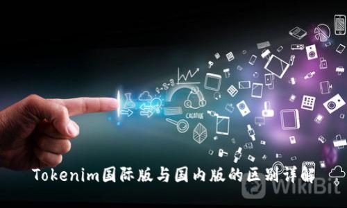 Tokenim国际版与国内版的区别详解