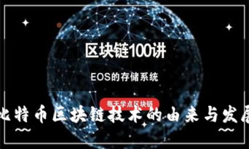 比特币区块链技术的由来与发展