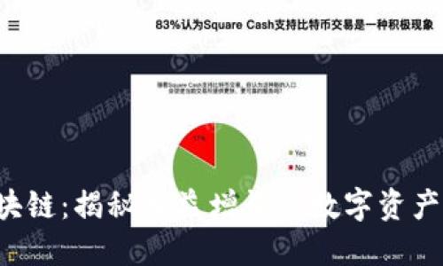 AIS币区块链：揭秘日益增长的数字资产投资新宠