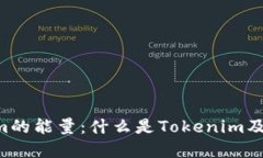 ### Tokenim的能量：什么是Tokenim及其背后的价值。