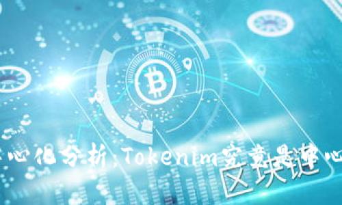 ### Tokenim中心化分析：Tokenim究竟是中心化还是去中心化？