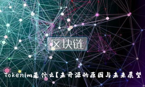 Tokenim是什么？未开源的原因与未来展望