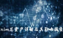 Tokenim总资产详解及其影响因素分析