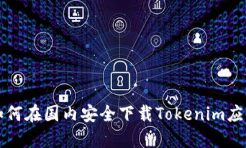 如何在国内安全下载Tokenim应用