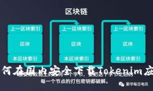 如何在国内安全下载Tokenim应用