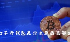 Tokenim打不开钱包是什么原因及解决方案指南