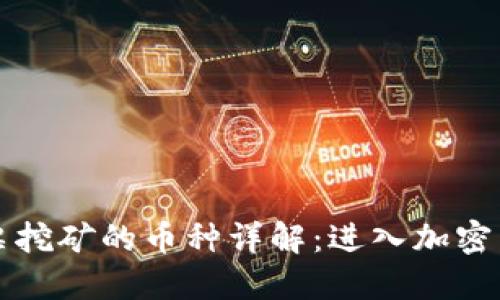 区块链投票挖矿的币种详解：进入加密货币新世界