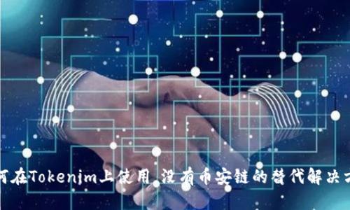 如何在Tokenim上使用，没有币安链的替代解决方案