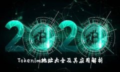Tokenim地址大全及其应用解析