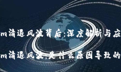 Tokenim清退风波背后：深度解析与应对策略

Tokenim清退风波：是什么原因导致的？