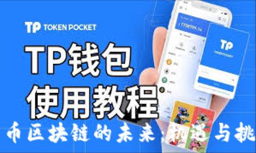  
产币区块链的未来：机遇与挑战