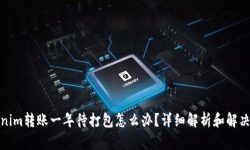Tokenim转账一年待打包怎么办？详细解析和解决方案
