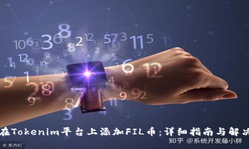 如何在Tokenim平台上添加FIL币：详细指南与解决方案