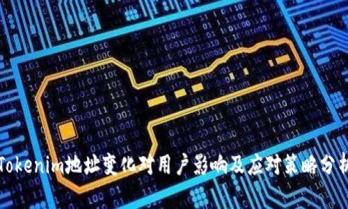 Tokenim地址变化对用户影响及应对策略分析