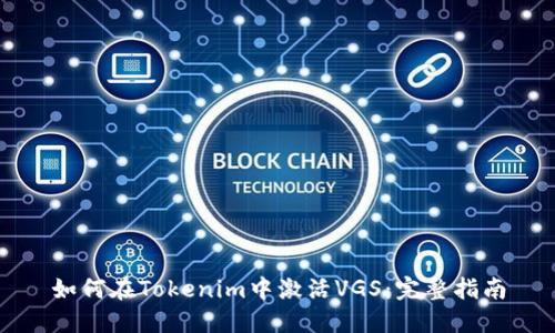 如何在Tokenim中激活VGS：完整指南