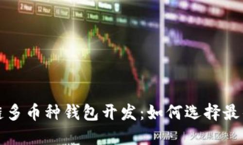 深圳区块链多币种钱包开发：如何选择最佳解决方案