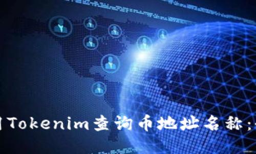 如何使用Tokenim查询币地址名称：全面指南