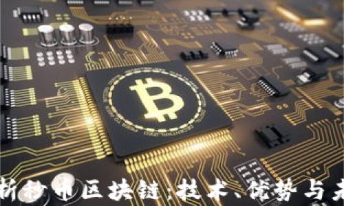 
深入解析秒币区块链：技术、优势与未来发展