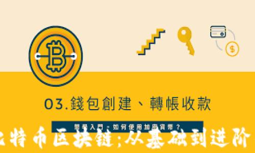
深入理解比特币区块链：从基础到进阶的全面解析