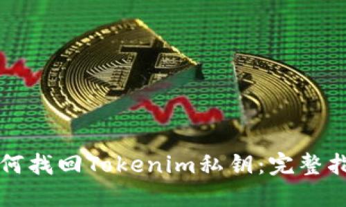 如何找回Tokenim私钥：完整指南