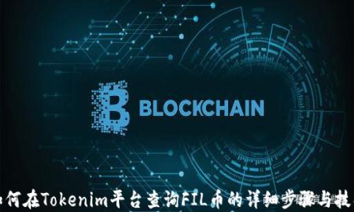 
如何在Tokenim平台查询FIL币的详细步骤与技巧