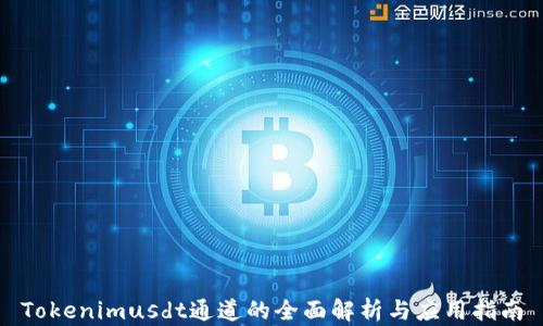
Tokenimusdt通道的全面解析与应用指南