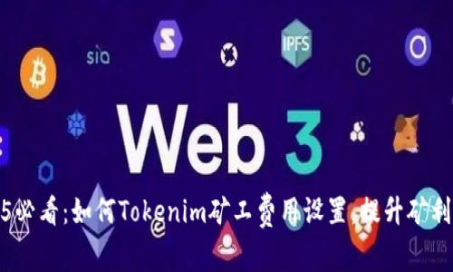 2025必看：如何Tokenim矿工费用设置，提升矿利收益