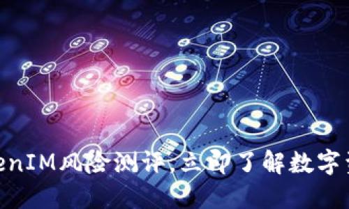 2025必看：TokenIM风险测评，立即了解数字资产的安全攻略