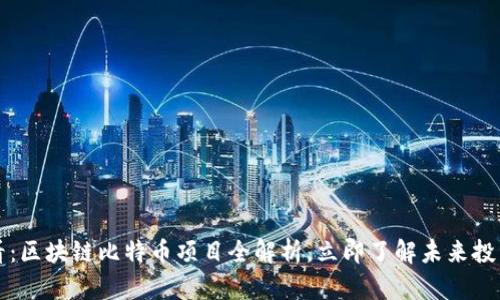 2025必看：区块链比特币项目全解析，立即了解未来投资新机遇！