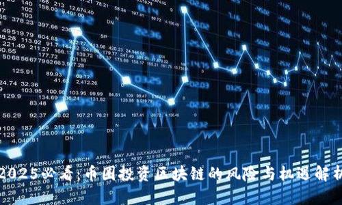 2025必看：币圈投资区块链的风险与机遇解析