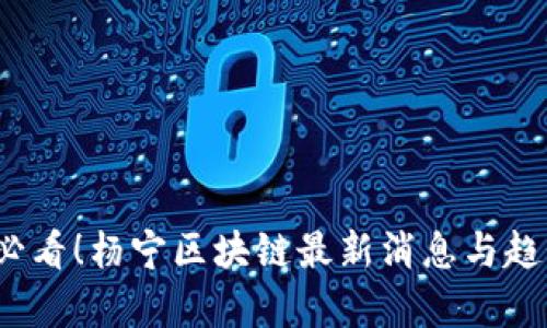2025必看！杨宁区块链最新消息与趋势分析