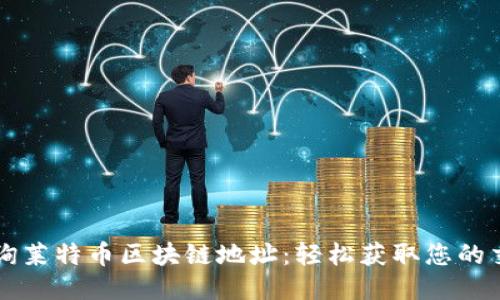 立即查询莱特币区块链地址：轻松获取您的交易信息