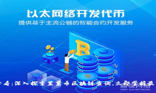 2025必看：深入探索莱莱币区块链查询，立即掌握最新动态！