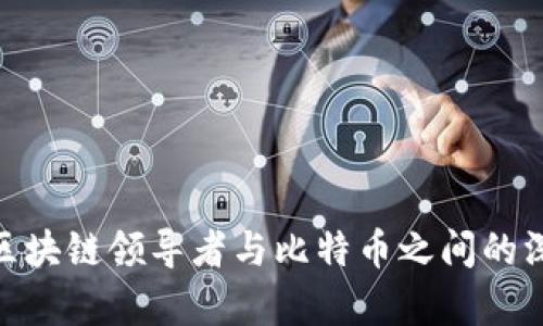 2025必看：区块链领导者与比特币之间的深度界限分析