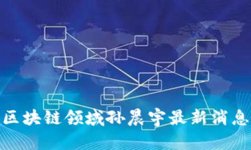 2025必看：区块链领域孙晨宇最新消息与趋势解析