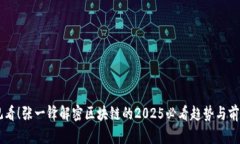 立即观看！张一锋解密区块链的2025必看趋势与前