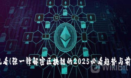 立即观看！张一锋解密区块链的2025必看趋势与前沿应用