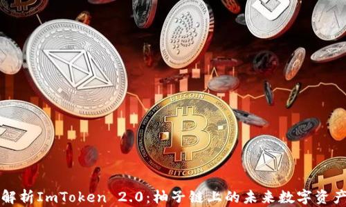 
深入解析ImToken 2.0：柚子链上的未来数字资产钱包